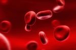 راه های درمان کم خونی چیست؟