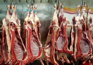 قیمت گوشت قرمز امروز ۵ خرداد ۱۴۰۲