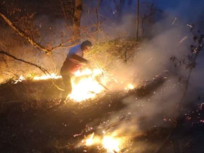 اطفاء حریق بیش از ۱۳ هکتار از اراضی جنگلی گیلان