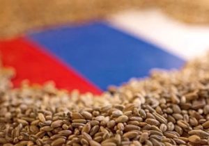 رکوردزنی روسیه در درآمد صادرات کشاورزی