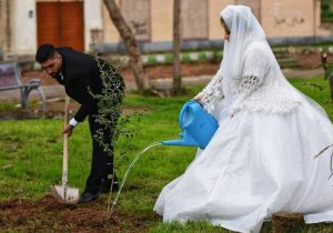 مهریه این عروس ایرانی درخت است!