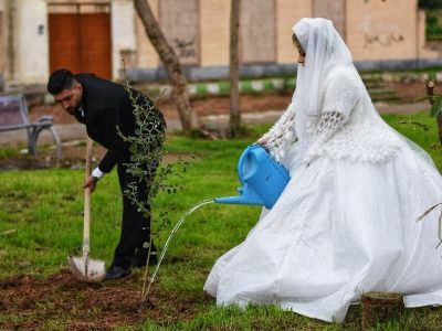 مهریه این عروس ایرانی درخت است!
