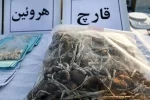 جزئیات کشف ۸ کیلوگرم مخدر ماشروم در تهران