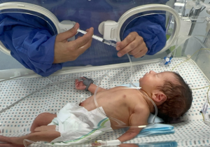 هشدار سازمان ملل به مرگ نوزادان نارس در غزه