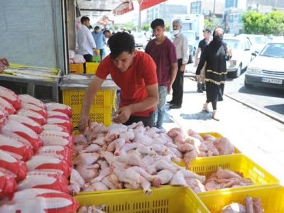 عرضه مرغ به بازار ۱۱ درصد افزایش یافت