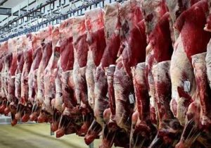 دلیل صفهای طولانی خرید گوشت تنظیم بازاری اعلام شد