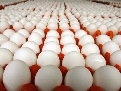 صادرات ۱۳۰هزار تن تخم مرغ برای نخستین بار در کشور